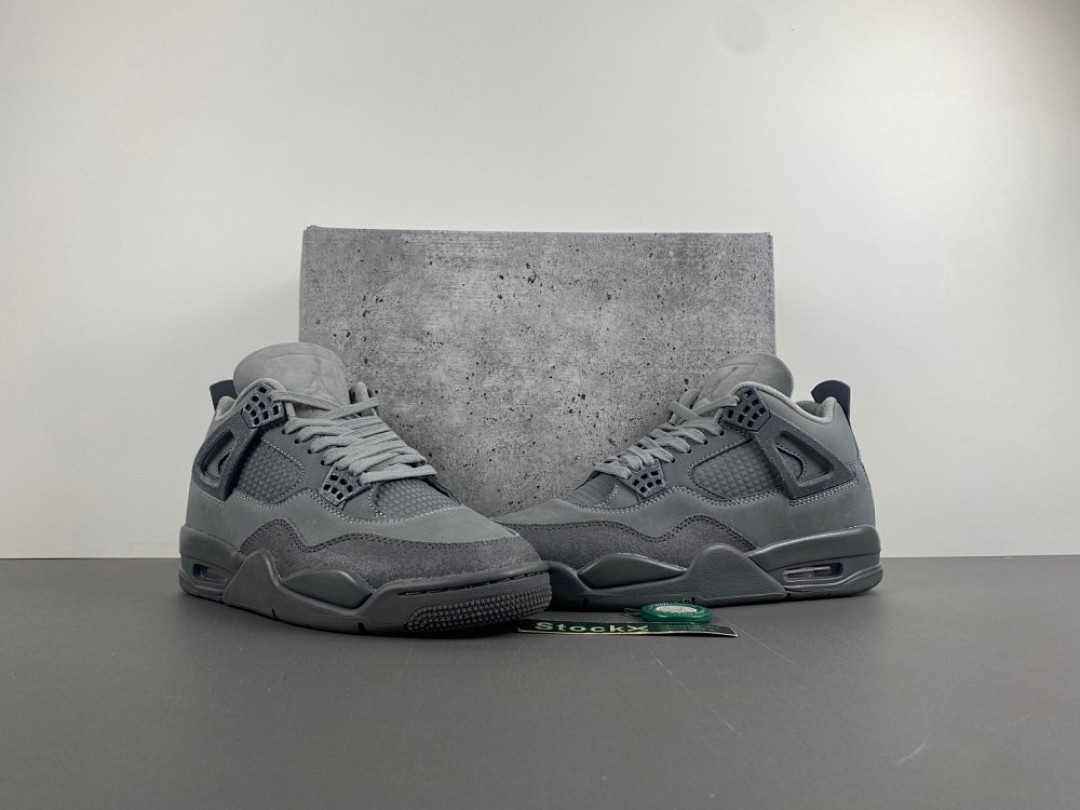 Air Jordan 4 Paris Olympics rep